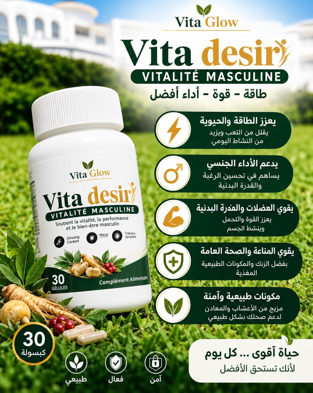 Vita Desir Vitalité Masculine — Vita Glow